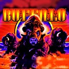 Buffalo